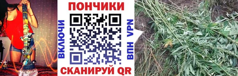 закладки  Белореченск  Бошки марихуана THC 21% 